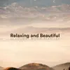 Various Artists - Relaxing and Beautiful Classical Music Playlist